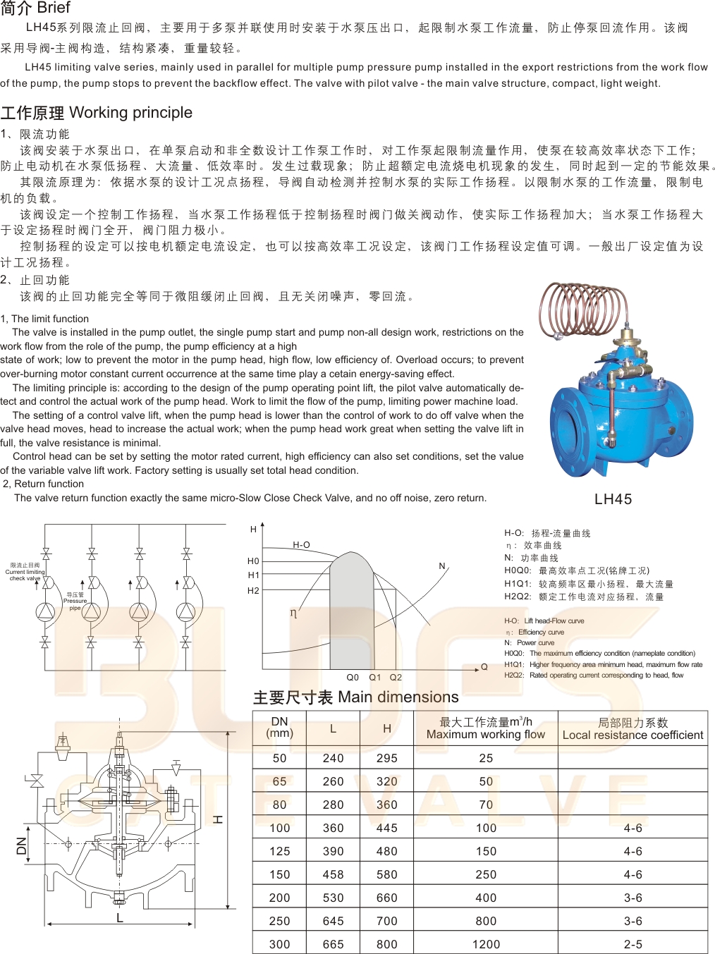 17限流止回閥1.jpg